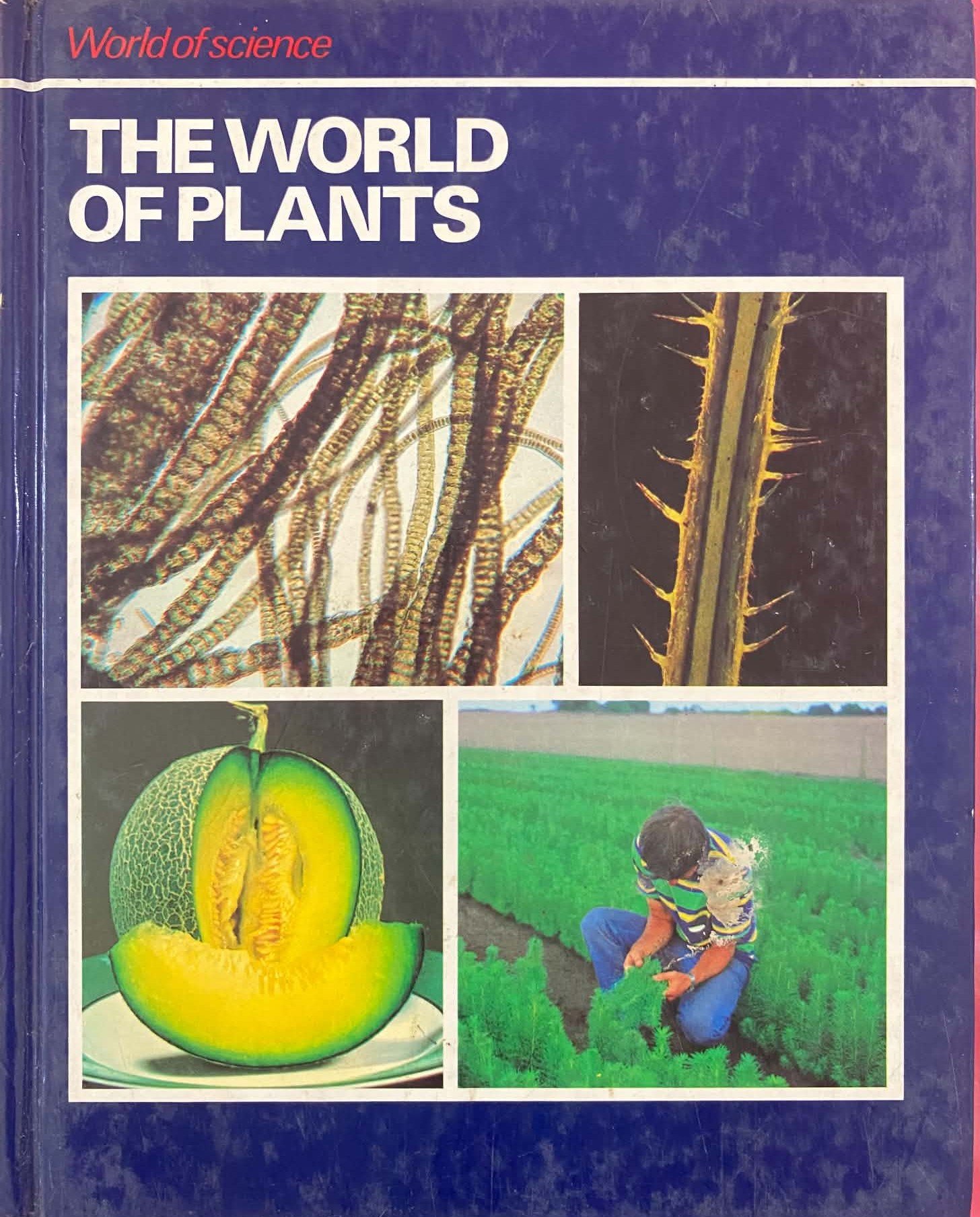 Image File
